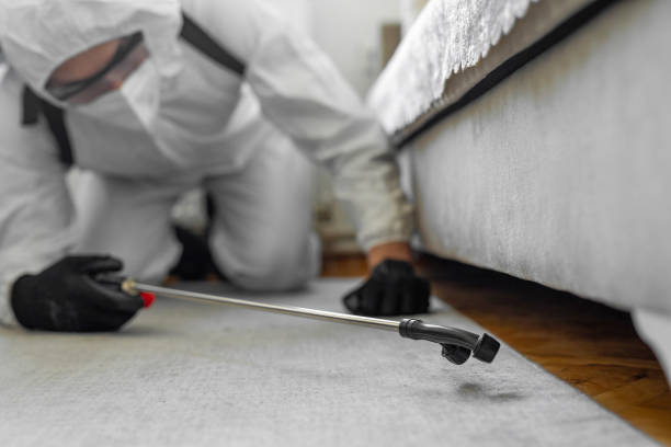 Professional Bed Bug Control technician working in Mascoutah, IL
