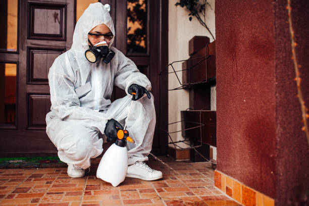 Reliable Bed Bug Control contractor in Mascoutah, IL by Nex Pest Control