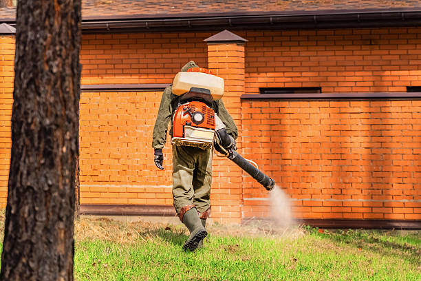 Top rated local Bed Bug Control specialists in Mascoutah, IL
